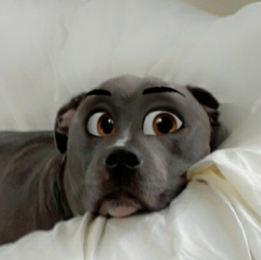 Meet your Posher, Sherri